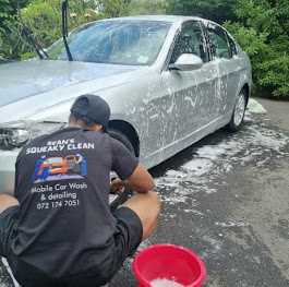 Sean's Squeaky Clean Mobile Car Auto Detailing